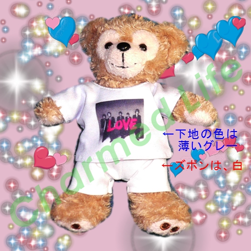 ダッフィー 服 ぬいバサイズ 2013年冬のツアーTシャツセット シャツ下地：薄いグレー、メンバー別