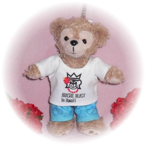 ダッフィー 服 ぬいバサイズ 2014 ハワイアンなTシャツセット ダッフィーのコスプレ服 衣装 5人組 BLAST